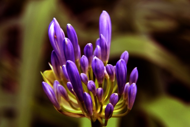 专业VAR团队复盘曼城扳平进球：B席对库尔图瓦犯规遭无视