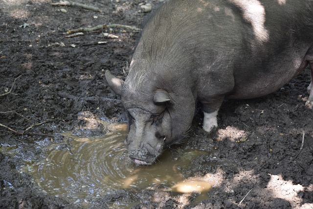 💡早报：34岁格列兹曼荣获金足奖