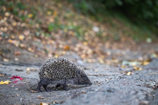 足球中超本轮进球大爆发，单轮轰入32球